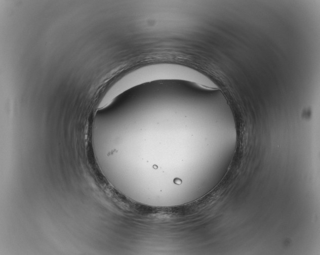 X0000111920356200908171329