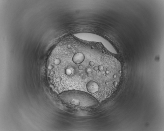 X0000111920359200908171329