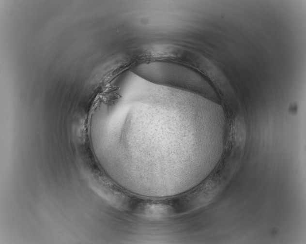 X0000111920360200908171329