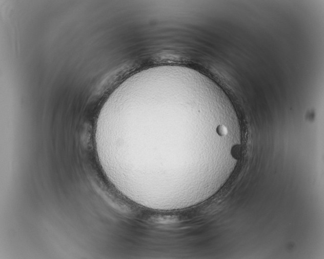 X0000111920361200908171329