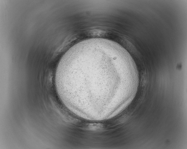 X0000111920363200908171329