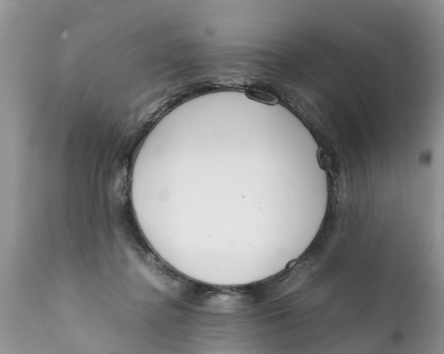 X0000111920364200908171329