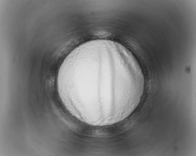 X0000111920365200908171329