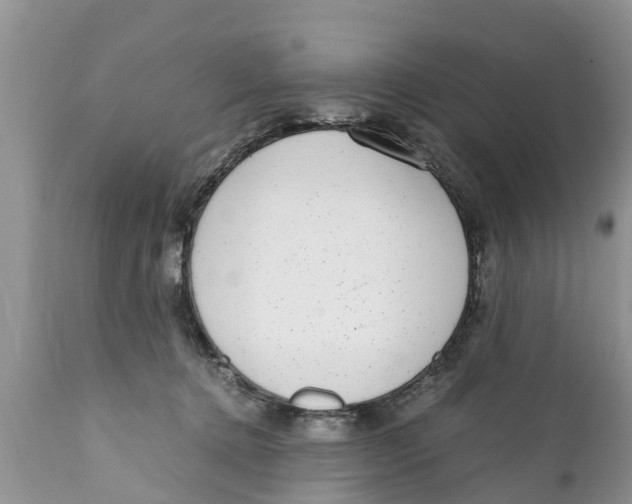 X0000111920368200908171329