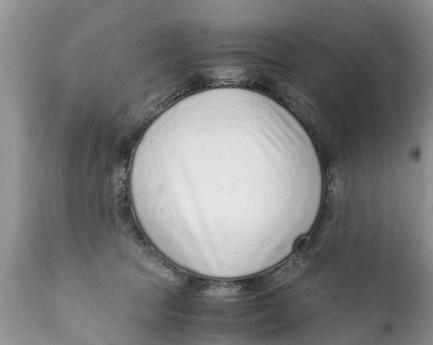 X0000111920369200908171329