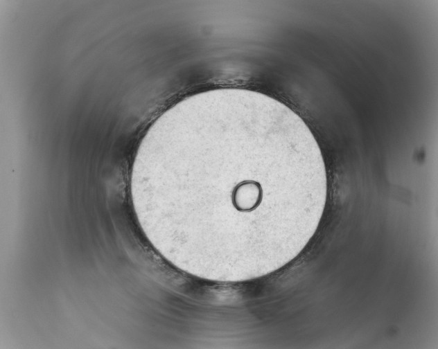 X0000111920370200908171329