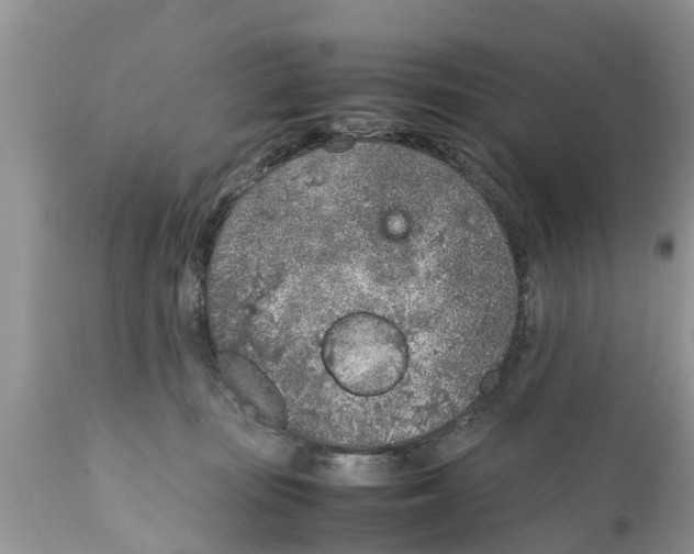 X0000111920371200908171329