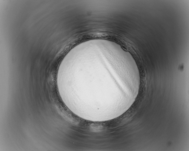 X0000111920373200908171329