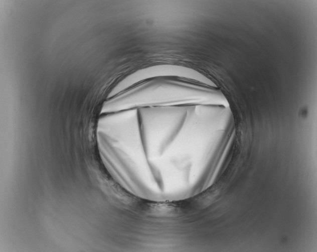 X0000111920380200908171330