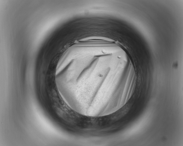 X0000111920383200908171330