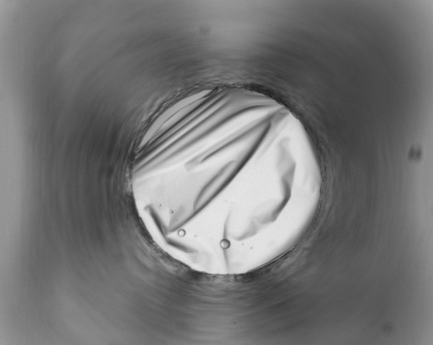 X0000111920384200908171330