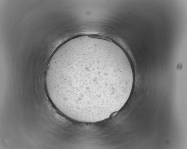 X0000111920385200908171329