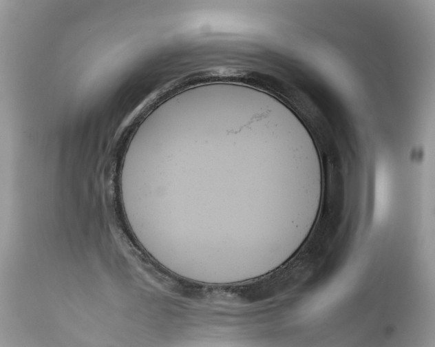 X0000111920387200908171329