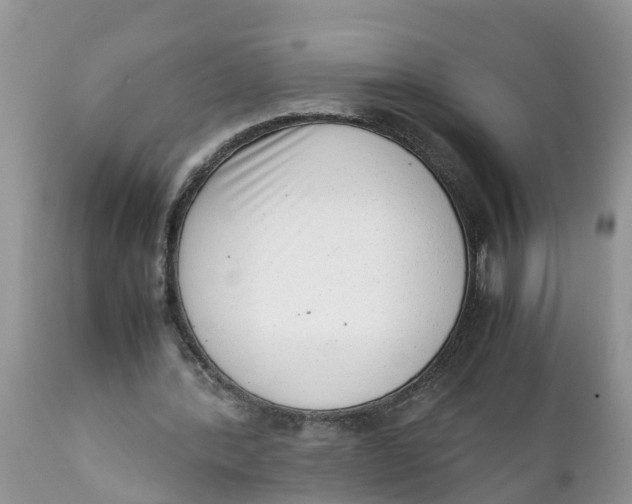 X0000111920388200908171329