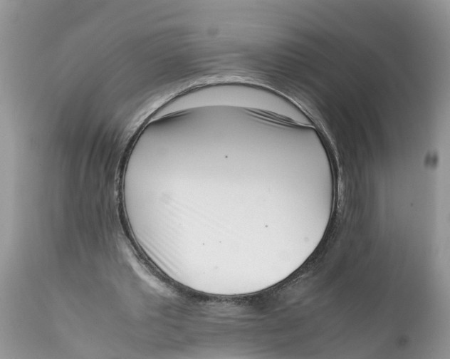 X0000111920389200908171329