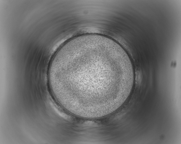 X0000111920390200908171329