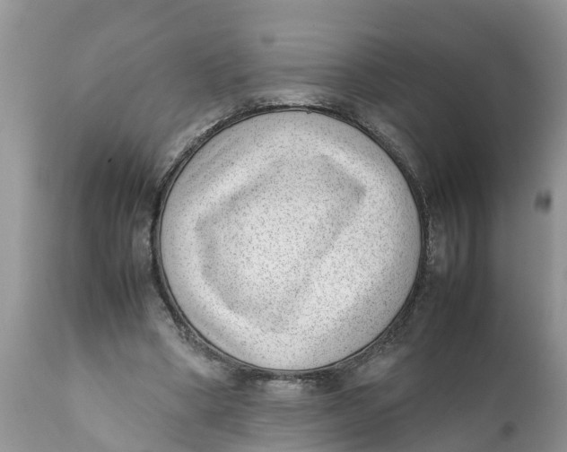 X0000111920394200908171329