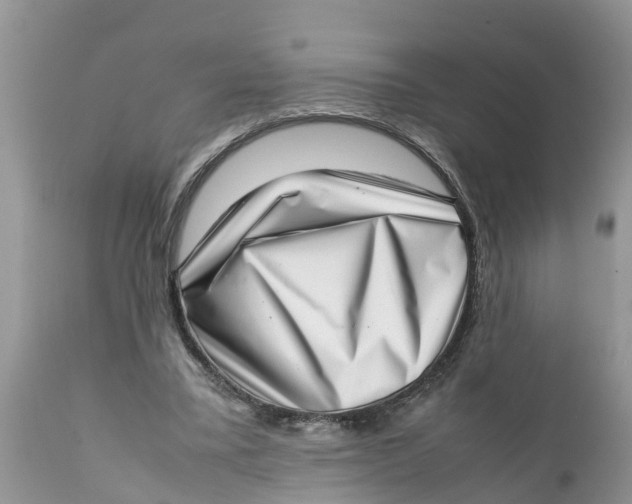 X0000111920395200908171329