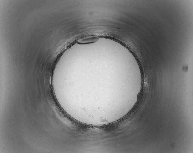 X0000111920397200908171329