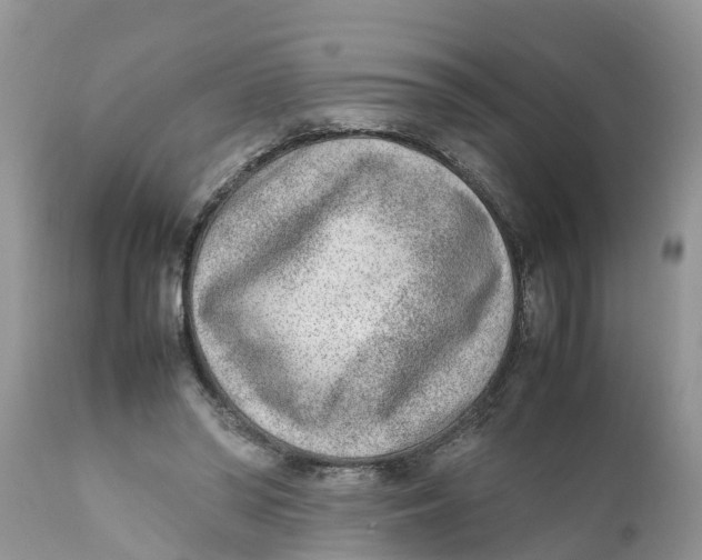 X0000111920398200908171329