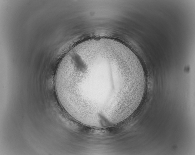 X0000111920401200908171329