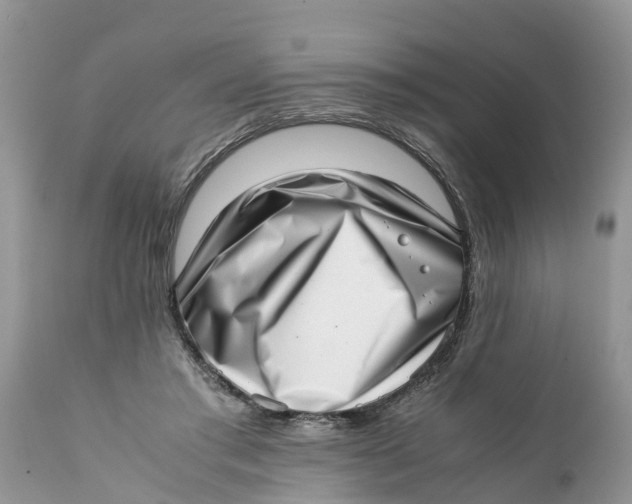 X0000111920405200908171329