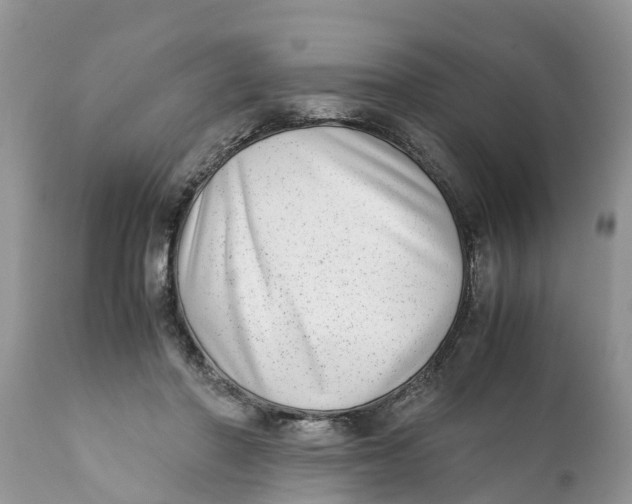 X0000111920406200908171329