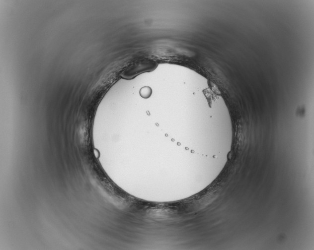 X0000111920408200908171329