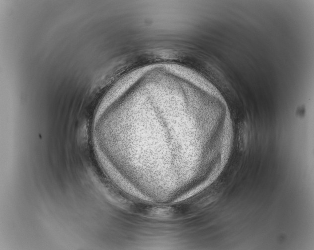 X0000111920410200908171329