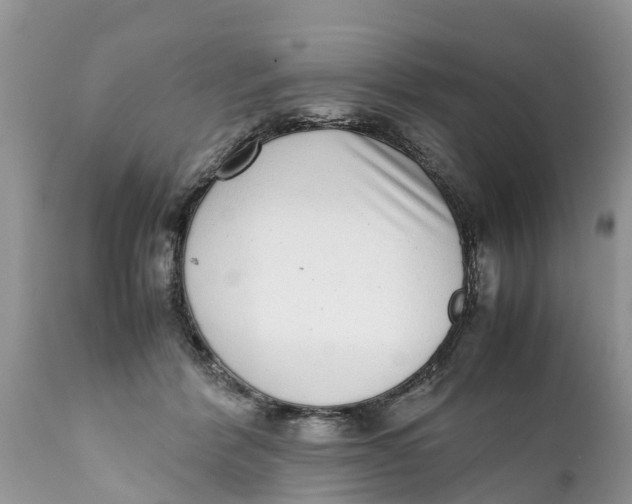 X0000111920412200908171329