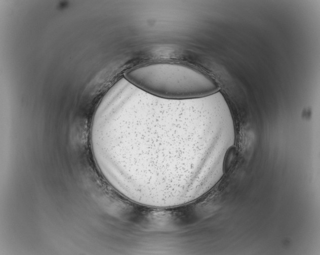 X0000111920413200908171329