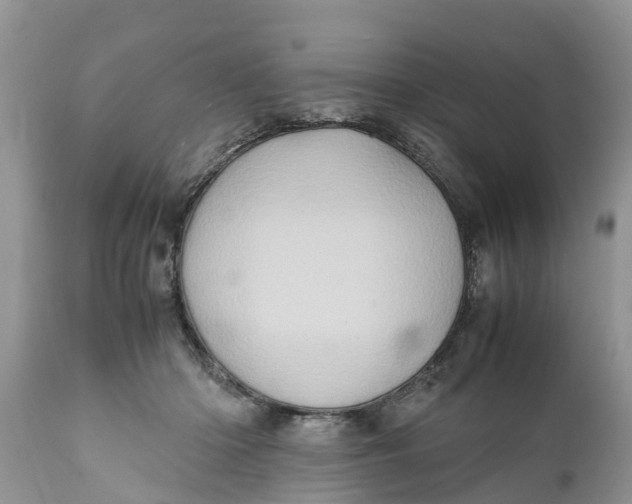 X0000111920414200908171329