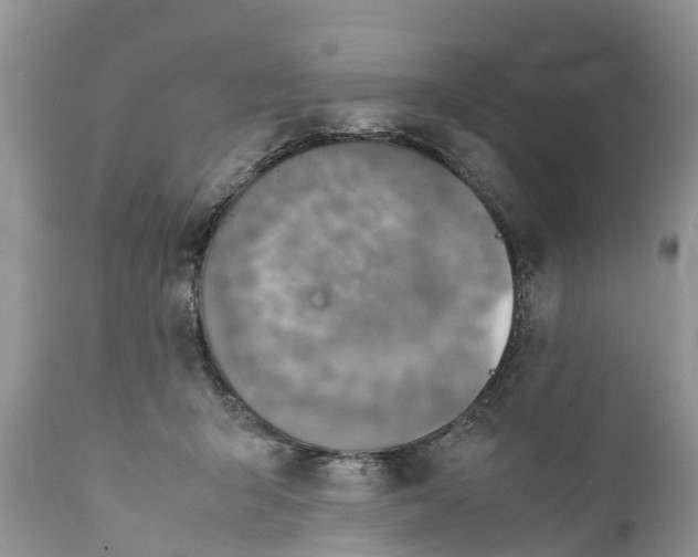 X0000111920415200908171329