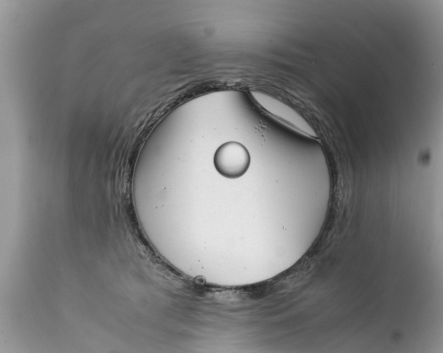 X0000111920417200908171329