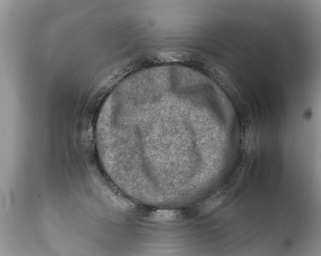 X0000111920418200908171328