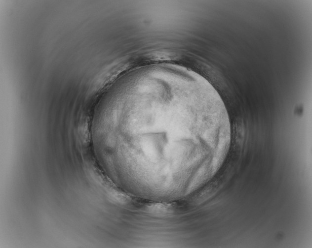 X0000111920422200908171328