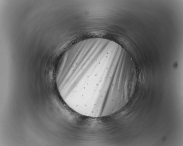 X0000111920424200908171328