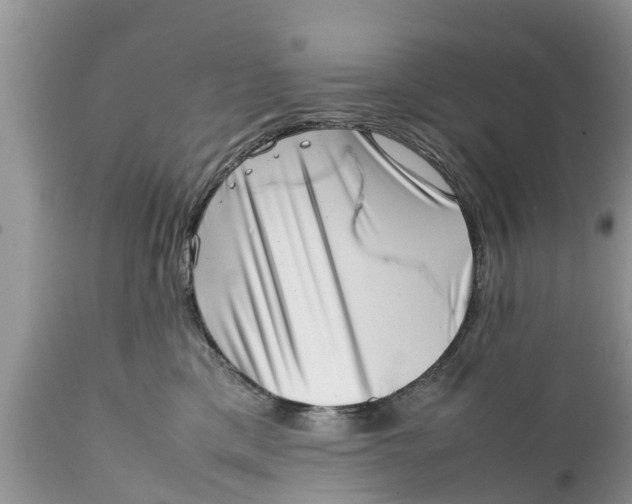 X0000111920425200908171328