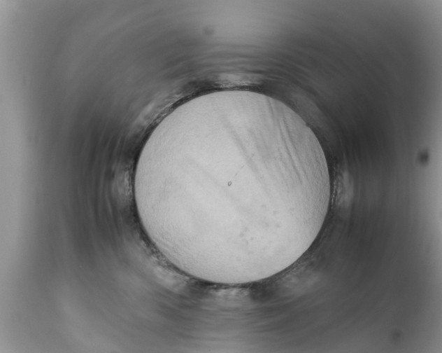 X0000111920426200908171328