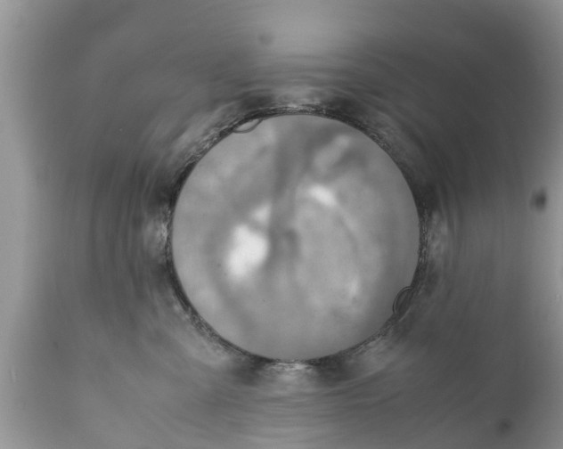 X0000111920427200908171328