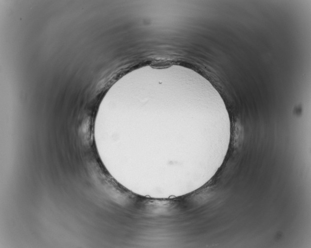 X0000111920428200908171328