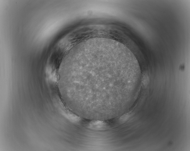 X0000111920431200908171328