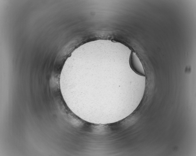 X0000111920432200908171328