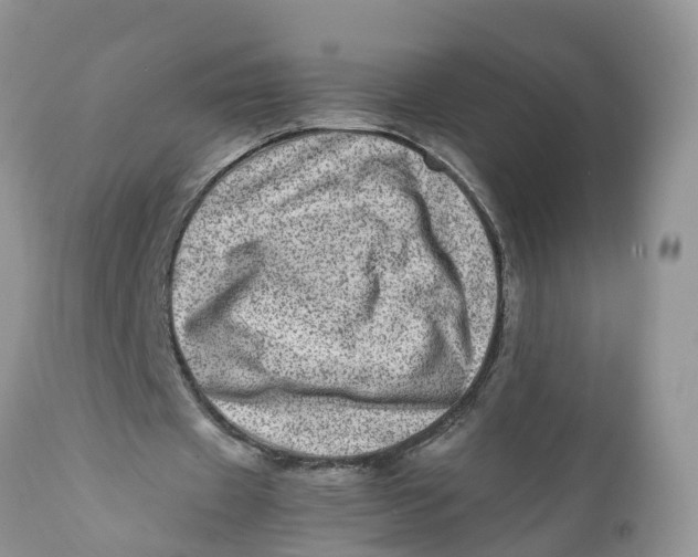 X0000111920433200908171328