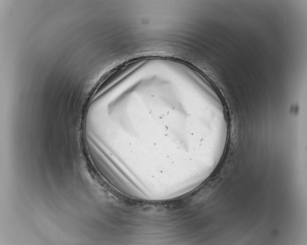 X0000111920434200908171328