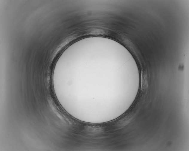 X0000111920435200908171328