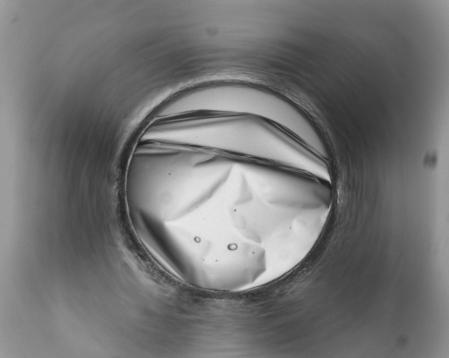 X0000111920436200908171328