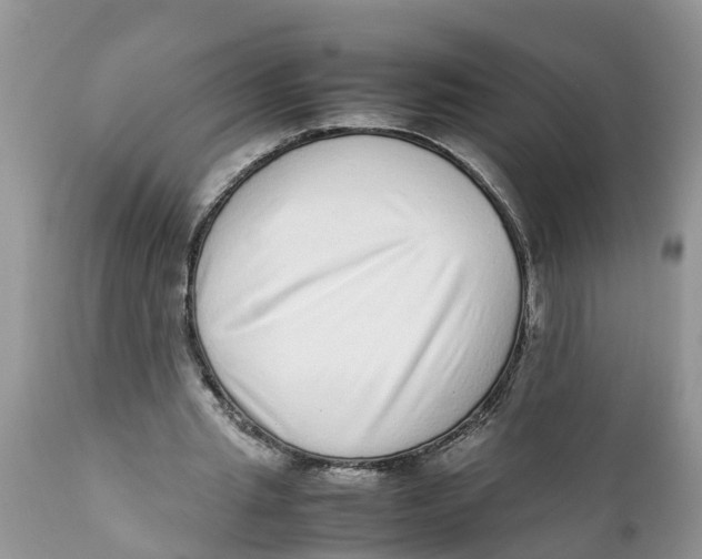 X0000111920437200908171328