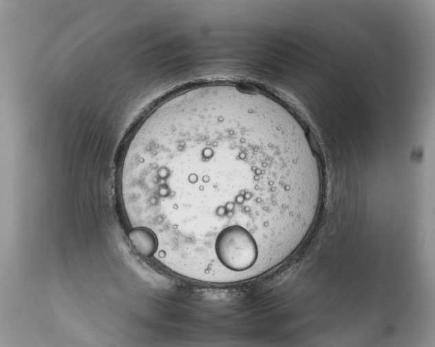 X0000111920439200908171328