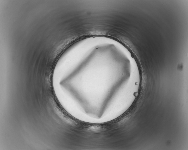 X0000111920441200908171328